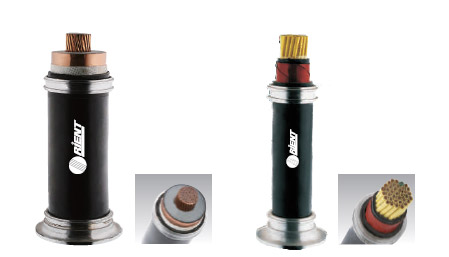 14657131428438.jpg 11.jpg